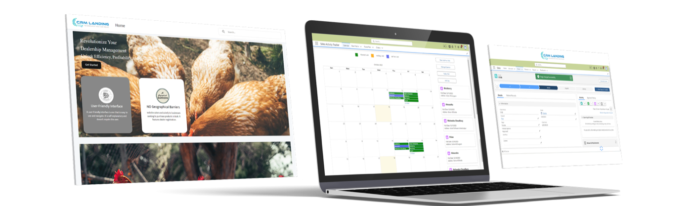 Dealer portal, sales activity calendar and order record